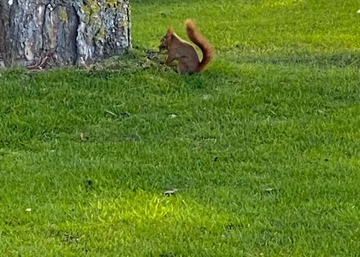 Pontons View Apartment