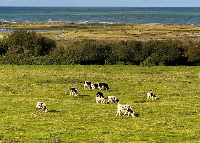 Pontons View Apartment *